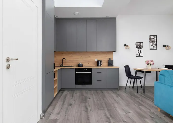 Lejlighed Cozy With Air Conditioning Close To The Center In By Renters Katowice