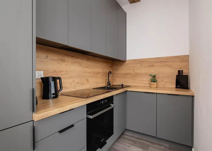 Apartment Cozy With Air Conditioning Close To The Center In By Renters *