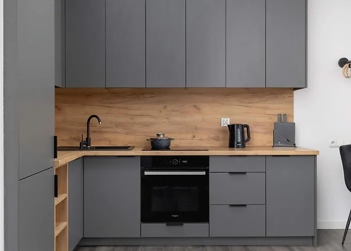 Apartment Cozy With Air Conditioning Close To The Center In By Renters